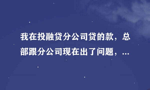 我在投融贷分公司贷的款，总部跟分公司现在出了问题，双方都给我要钱，我该怎么做，现在分公司还派了催贷