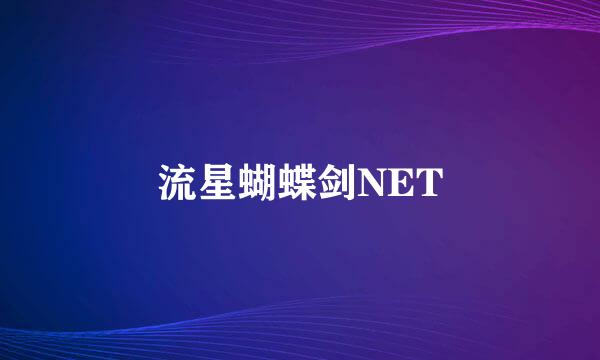 流星蝴蝶剑NET