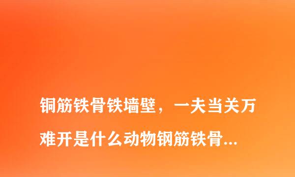 
铜筋铁骨铁墙壁，一夫当关万难开是什么动物钢筋铁骨是什么生肖
