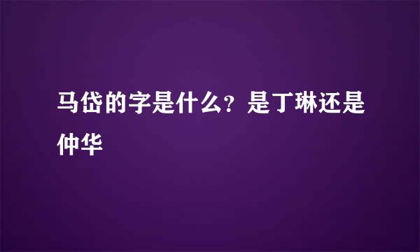 马岱的字是什么？是丁琳还是仲华