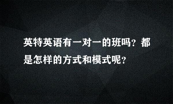 英特英语有一对一的班吗？都是怎样的方式和模式呢？