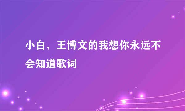 小白，王博文的我想你永远不会知道歌词