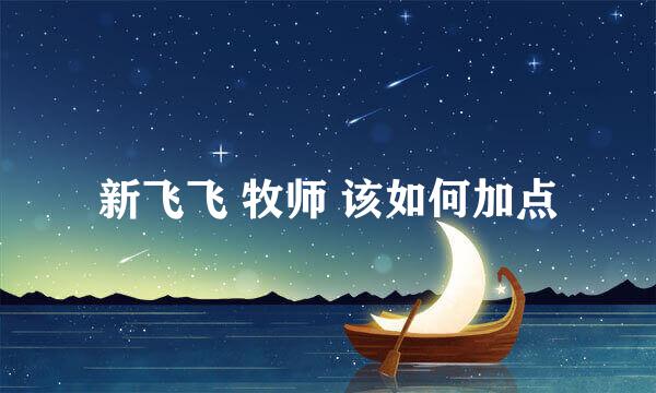 新飞飞 牧师 该如何加点