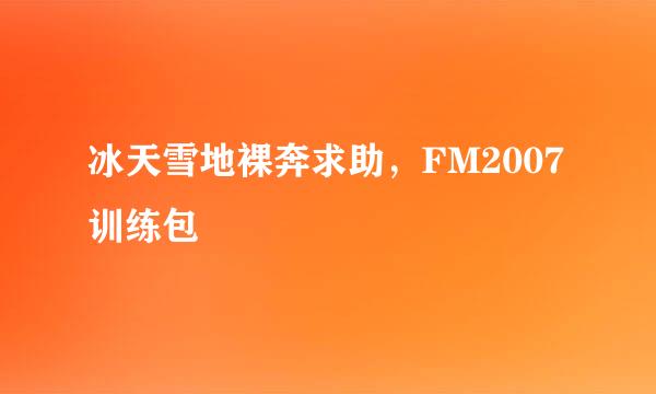 冰天雪地裸奔求助，FM2007训练包