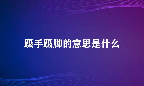 蹑手蹑脚的意思是什么