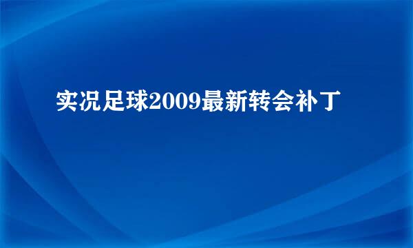 实况足球2009最新转会补丁