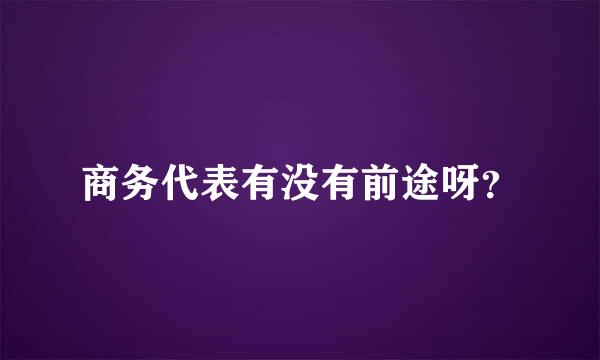 商务代表有没有前途呀？