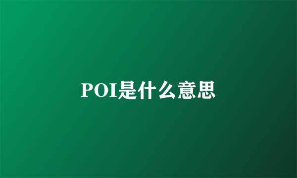 POI是什么意思