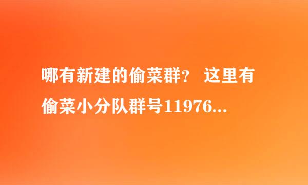 哪有新建的偷菜群？ 这里有偷菜小分队群号119764753大家赶紧加 新建的名额有限