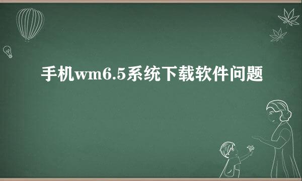 手机wm6.5系统下载软件问题