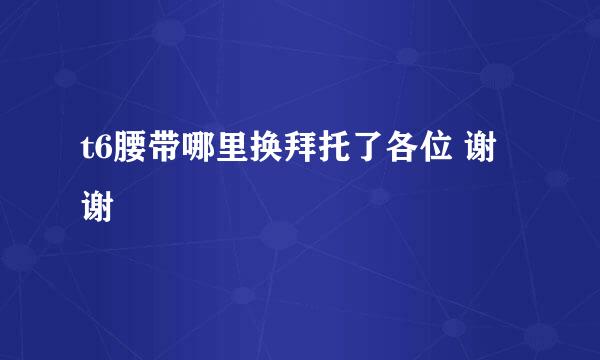 t6腰带哪里换拜托了各位 谢谢