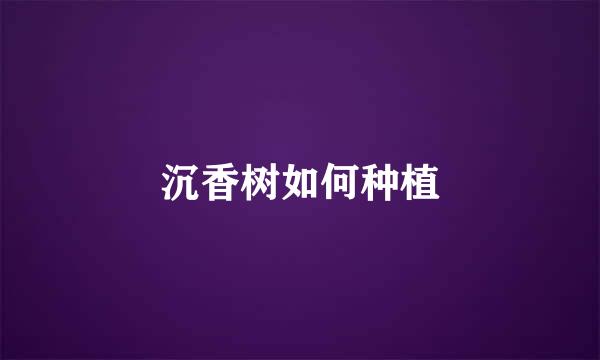 沉香树如何种植