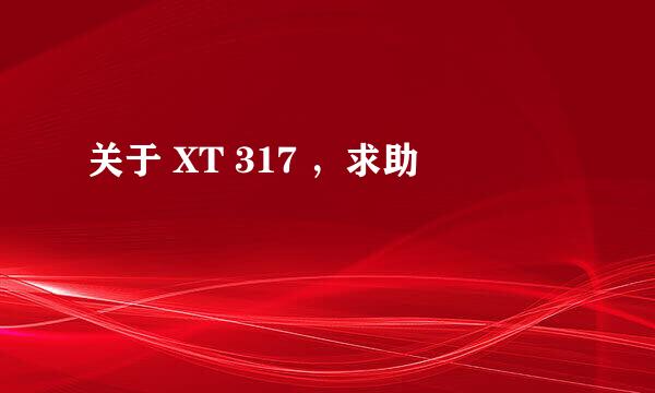 关于 XT 317 ，求助