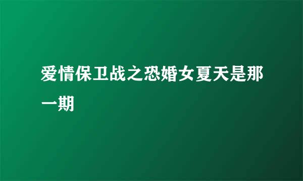 爱情保卫战之恐婚女夏天是那一期