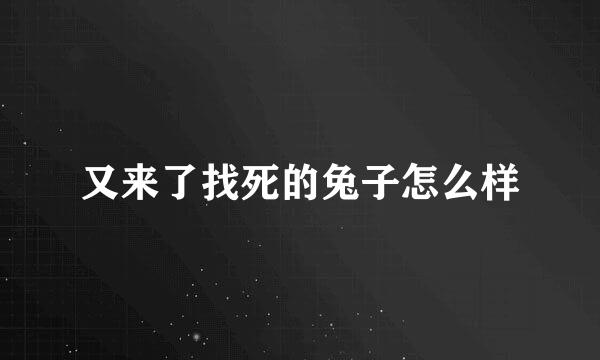 又来了找死的兔子怎么样