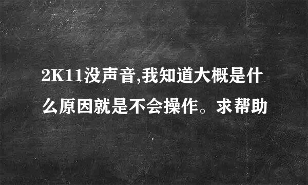 2K11没声音,我知道大概是什么原因就是不会操作。求帮助