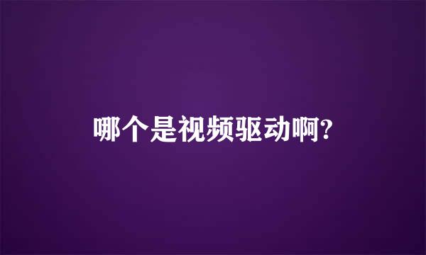 哪个是视频驱动啊?