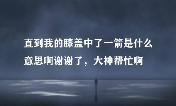 直到我的膝盖中了一箭是什么意思啊谢谢了，大神帮忙啊