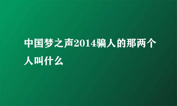 中国梦之声2014骗人的那两个人叫什么