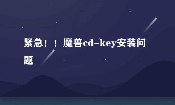 紧急！！魔兽cd-key安装问题