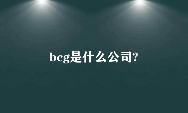 bcg是什么公司?