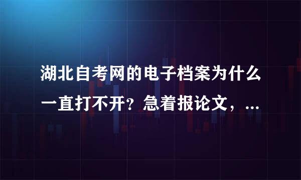 湖北自考网的电子档案为什么一直打不开？急着报论文，可是老师说要查我免考办没。她非要我去查，可是打不