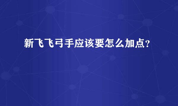 新飞飞弓手应该要怎么加点？