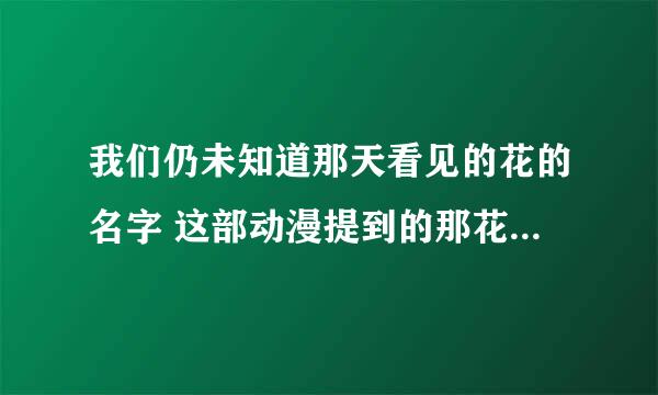 我们仍未知道那天看见的花的名字 这部动漫提到的那花儿的名字究竟是什么?