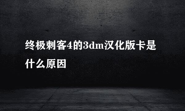 终极刺客4的3dm汉化版卡是什么原因