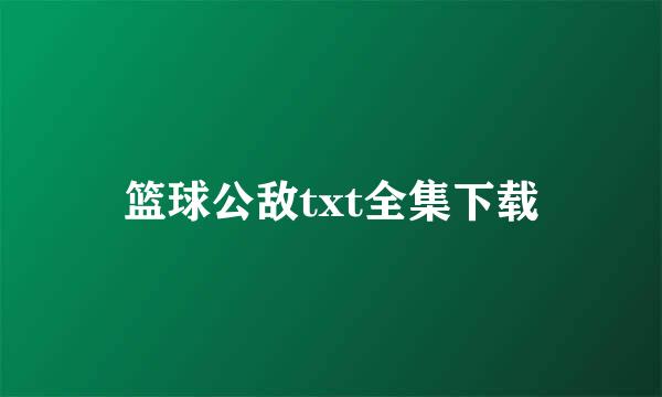 篮球公敌txt全集下载