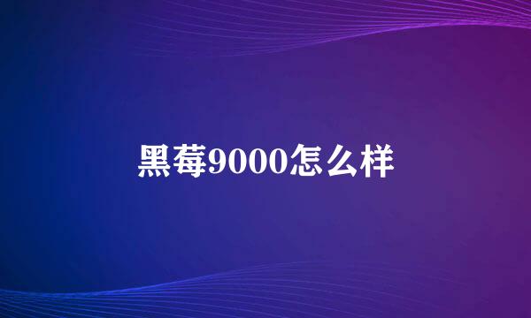 黑莓9000怎么样