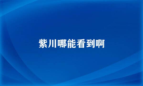 紫川哪能看到啊