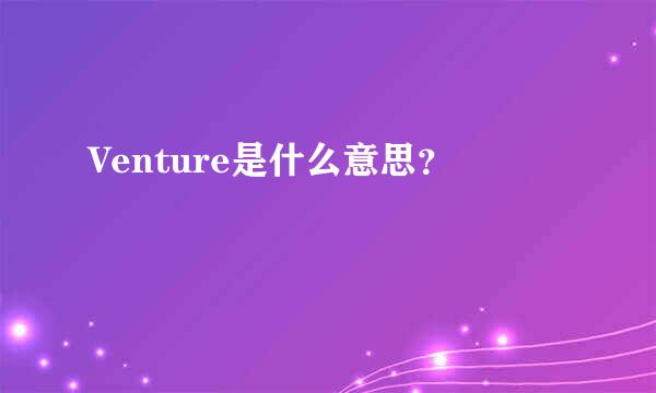 Venture是什么意思？