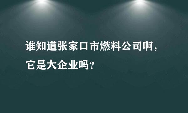 谁知道张家口市燃料公司啊，它是大企业吗？