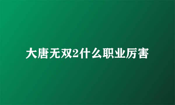 大唐无双2什么职业厉害