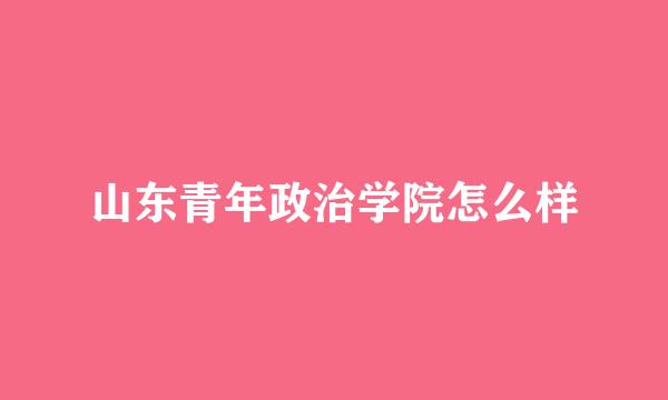 山东青年政治学院怎么样