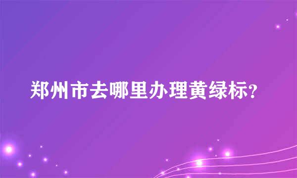 郑州市去哪里办理黄绿标？