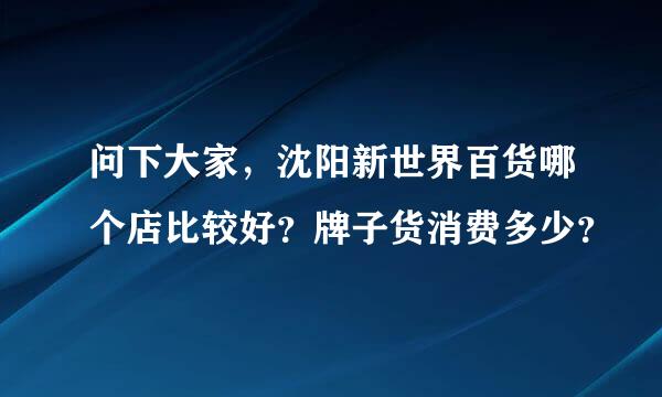 问下大家，沈阳新世界百货哪个店比较好？牌子货消费多少？