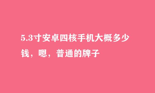 5.3寸安卓四核手机大概多少钱，嗯，普通的牌子