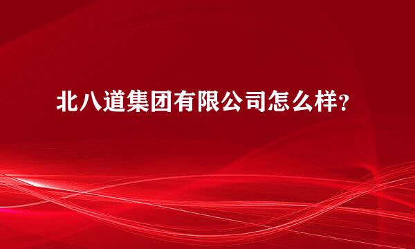 北八道集团有限公司怎么样？