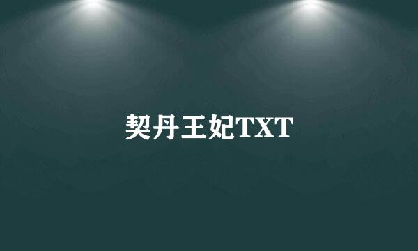 契丹王妃TXT