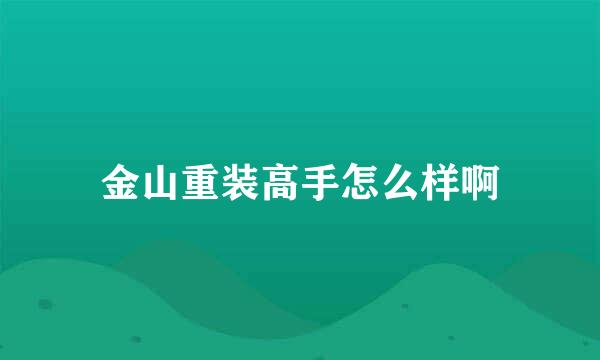 金山重装高手怎么样啊