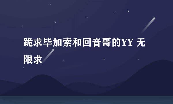 跪求毕加索和回音哥的YY 无限求