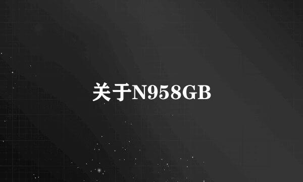 关于N958GB