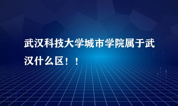 武汉科技大学城市学院属于武汉什么区！！