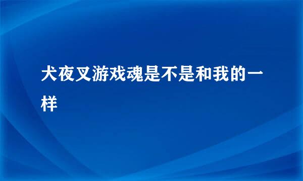 犬夜叉游戏魂是不是和我的一样