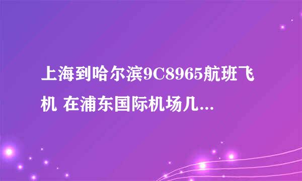 上海到哈尔滨9C8965航班飞机 在浦东国际机场几号楼登机