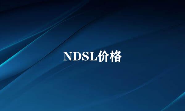 NDSL价格