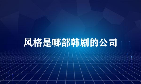 风格是哪部韩剧的公司