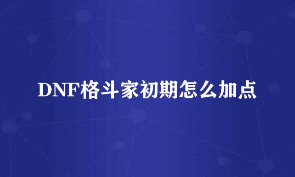 DNF格斗家初期怎么加点